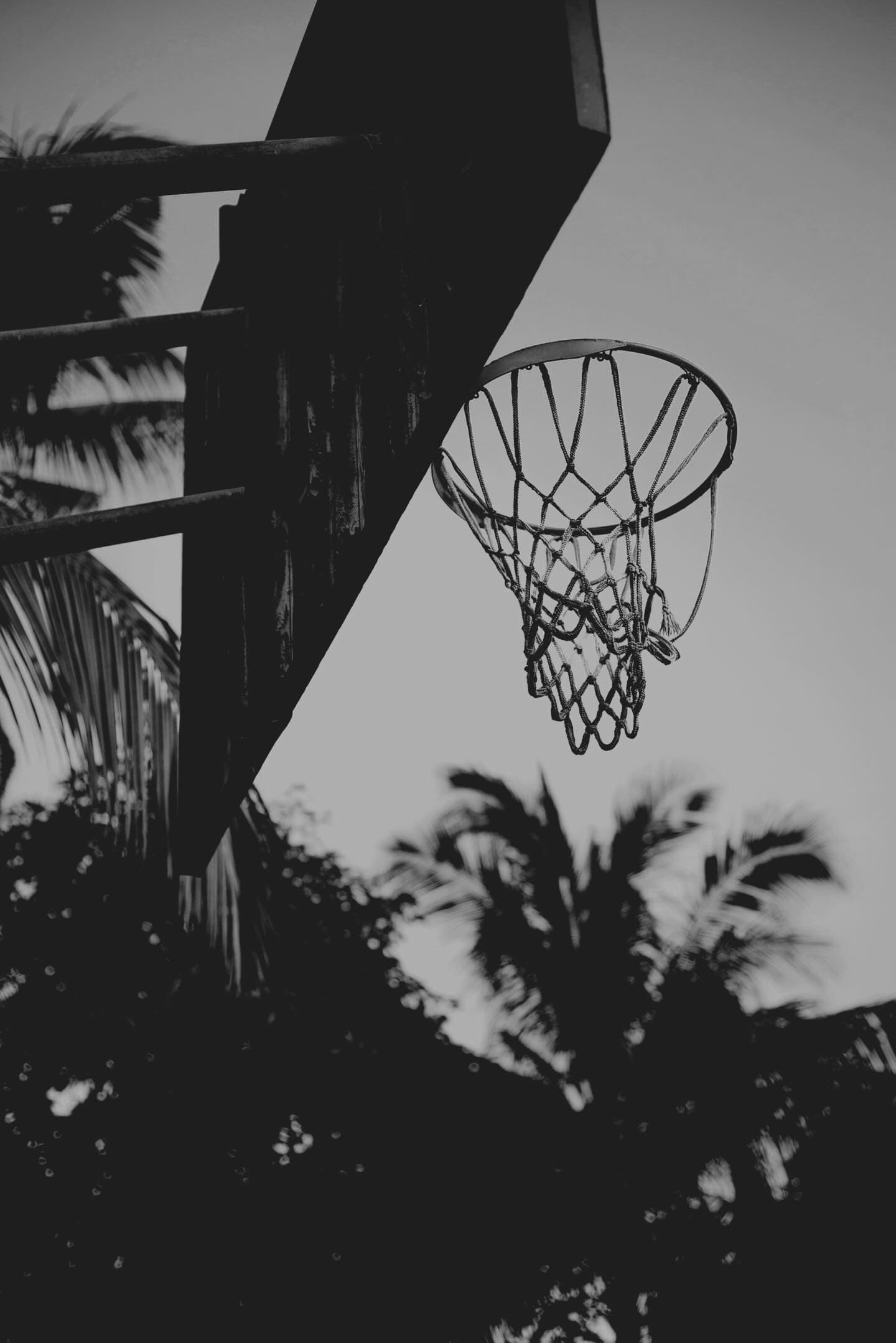 AO Hoops training session