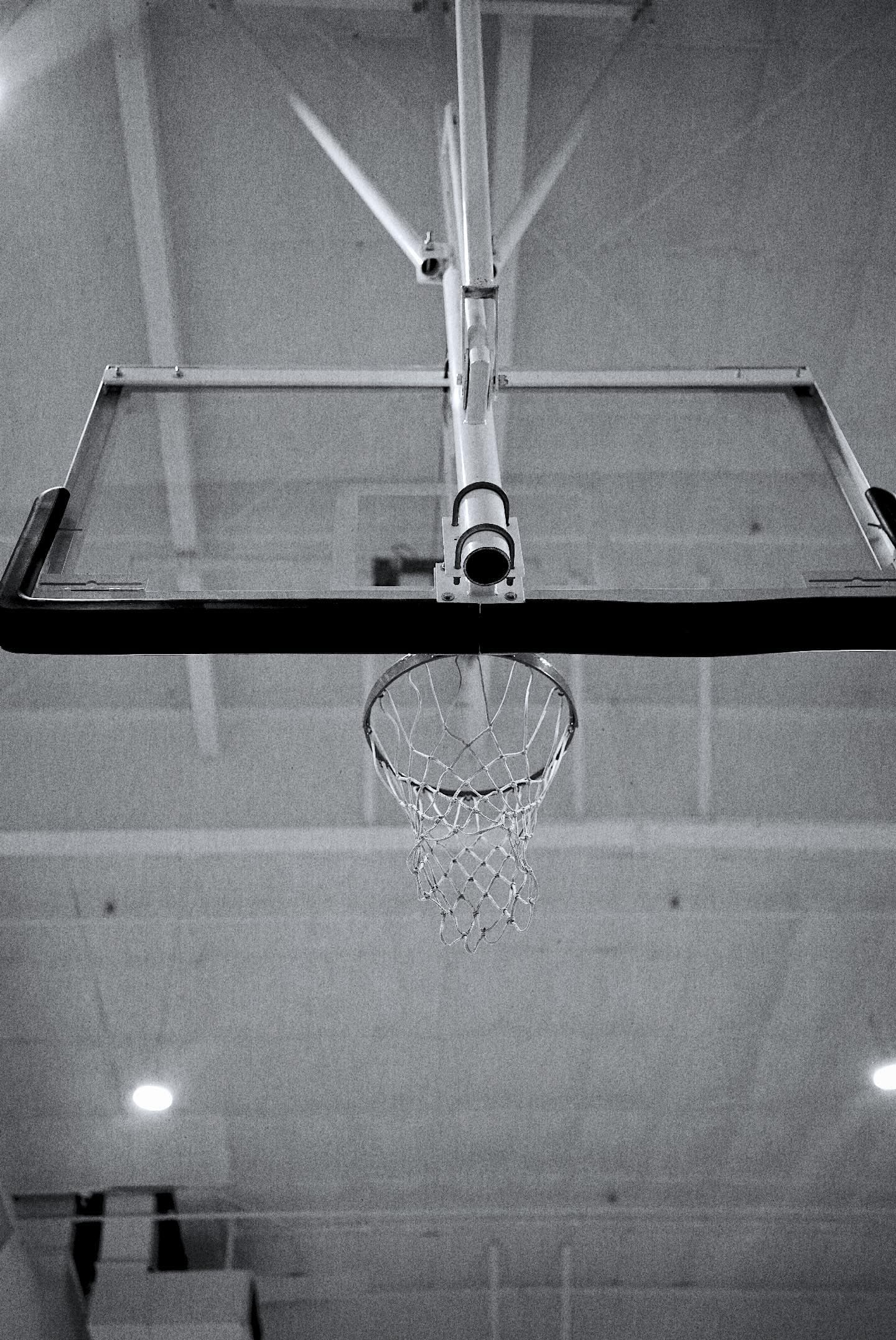 Earned. — the flagship AO Hoops player development program